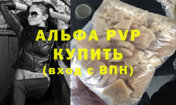 шишки Аркадак